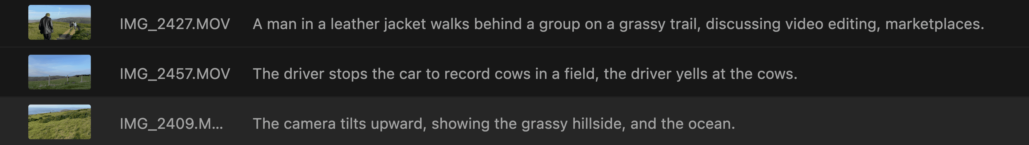 List of video clips with AI-generated descriptions